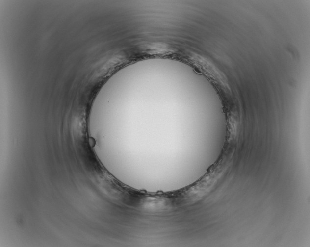 X0000112870376200909041626