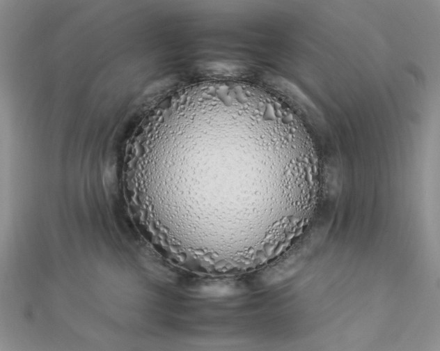 X0000112870377200909041626