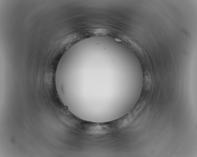 X0000112870379200909041626