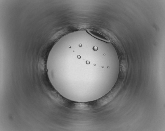 X0000112870380200909041626