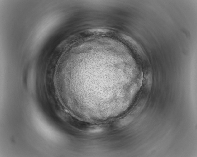 X0000112870381200909041626