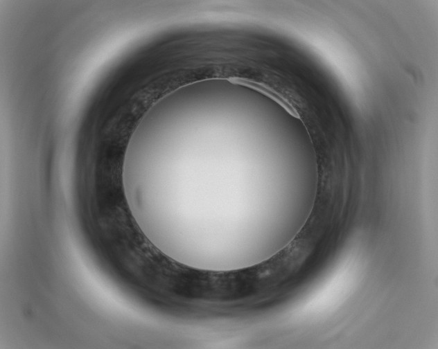 X0000112870383200909041626