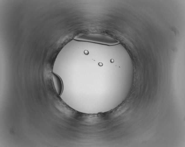 X0000112870384200909041626