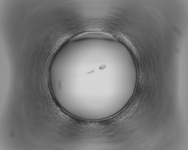 X0000112870385200909041625