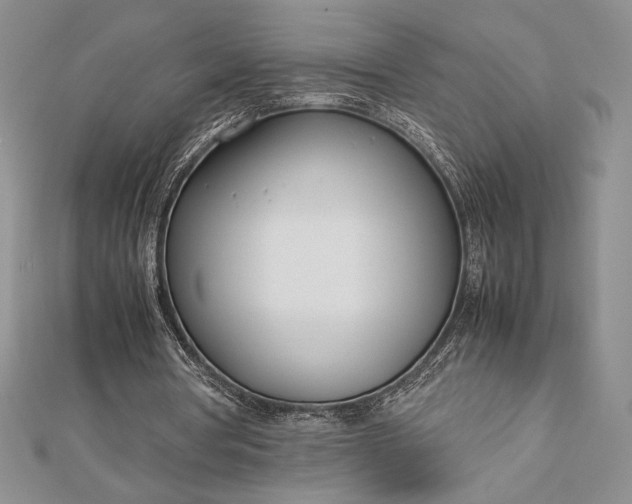 X0000112870386200909041625