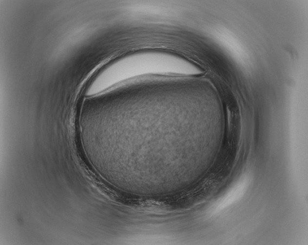 X0000112870387200909041625