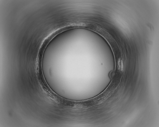 X0000112870388200909041625