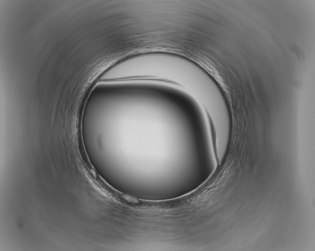 X0000112870389200909041625