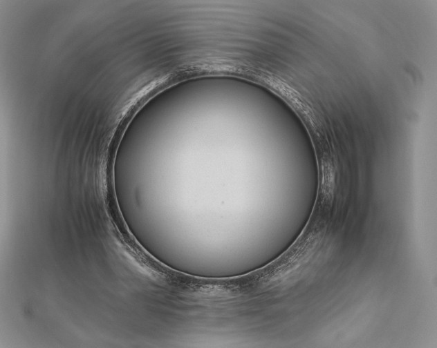 X0000112870390200909041625