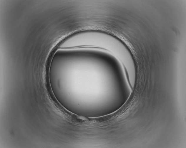 X0000112870391200909041625