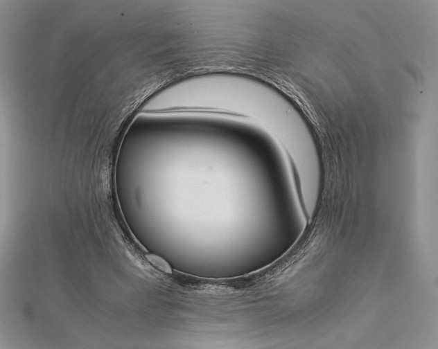 X0000112870393200909041625