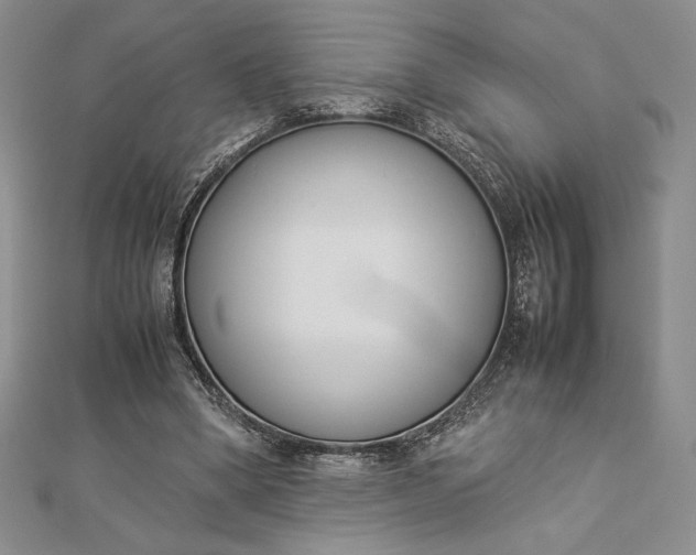 X0000112870394200909041625