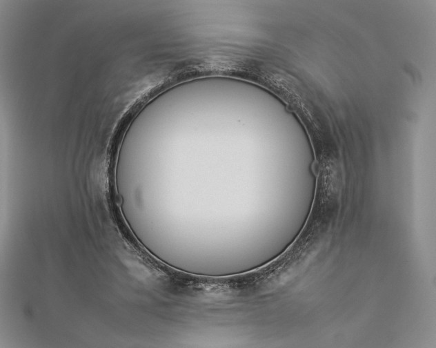 X0000112870395200909041625