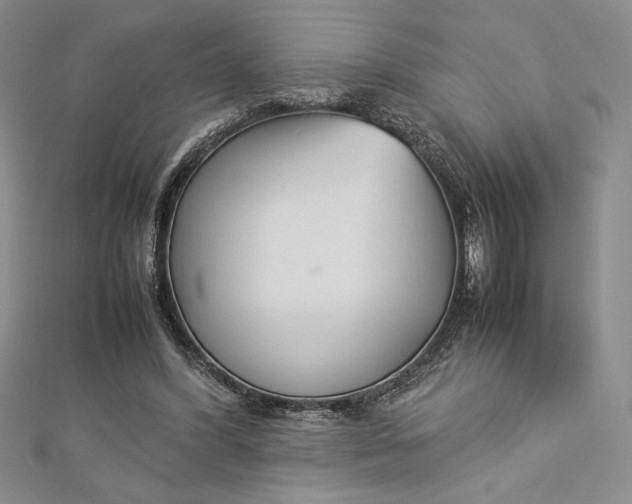 X0000112870396200909041625