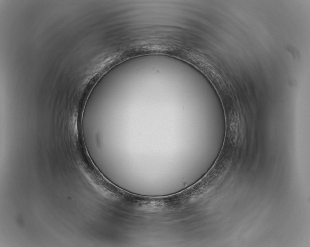 X0000112870398200909041625