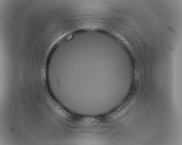 X0000112870399200909041625