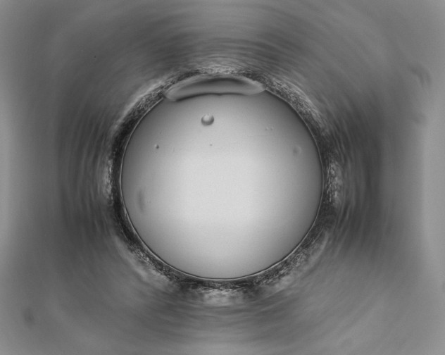 X0000112870400200909041625