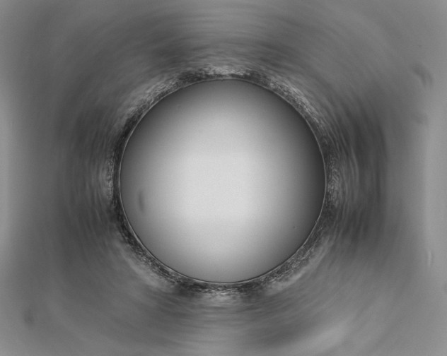 X0000112870402200909041625