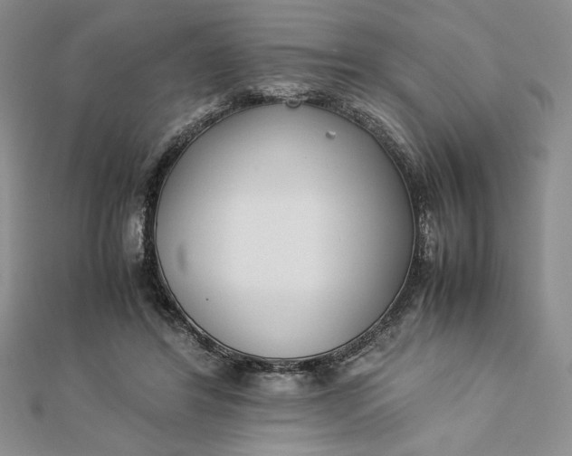 X0000112870404200909041625