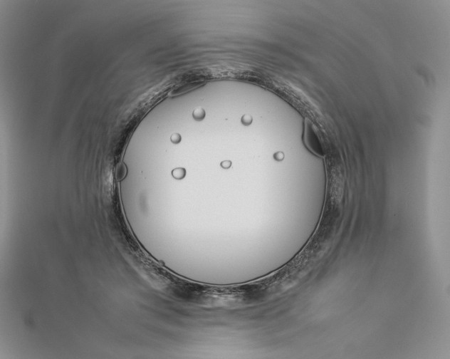 X0000112870405200909041625