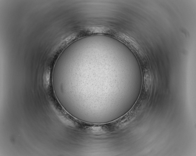 X0000112870406200909041625