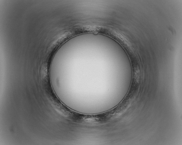 X0000112870407200909041625