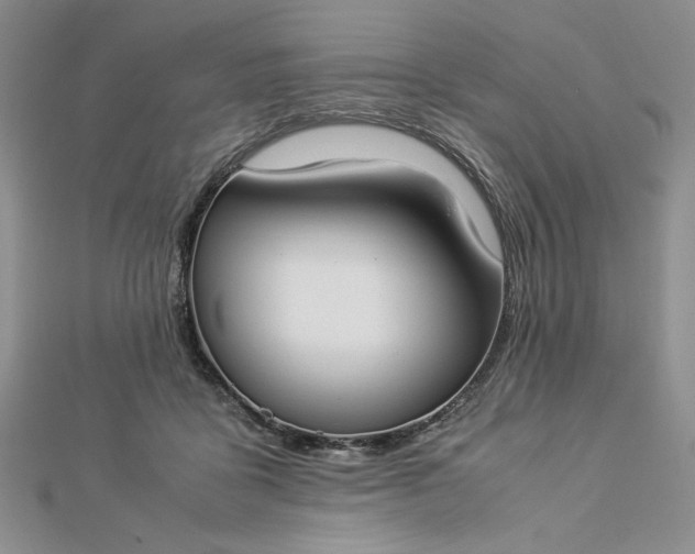 X0000112870411200909041625