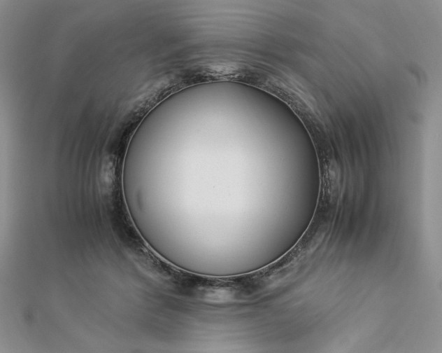 X0000112870412200909041625