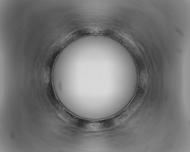 X0000112870413200909041625