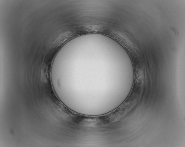 X0000112870414200909041625