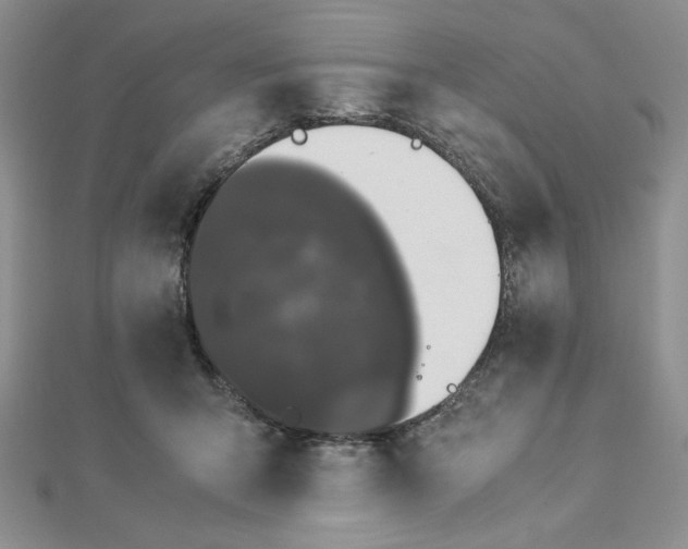 X0000112870415200909041625