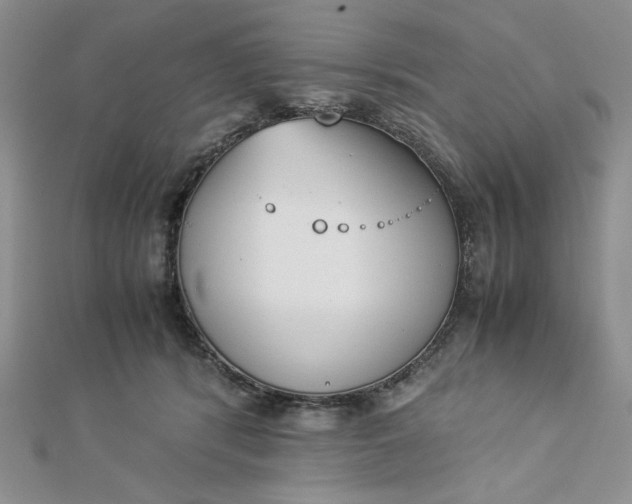 X0000112870416200909041625