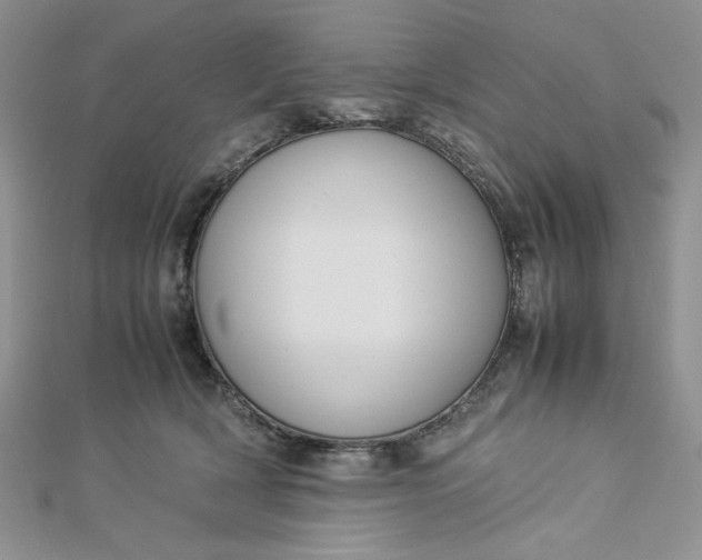 X0000112870418200909041625