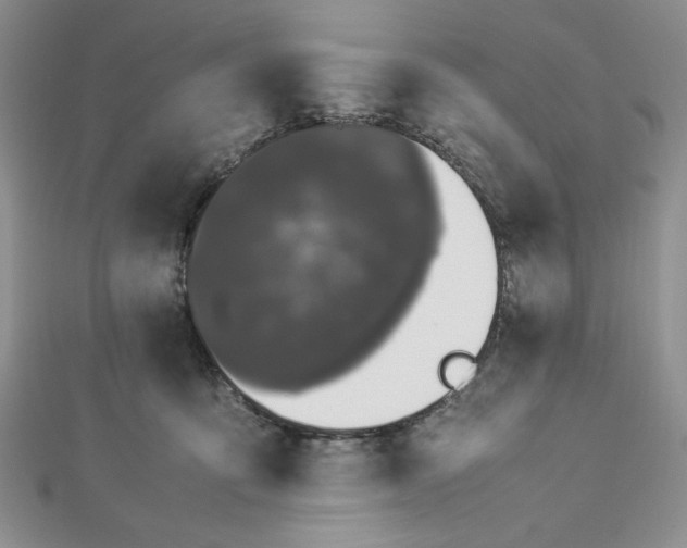 X0000112870419200909041625