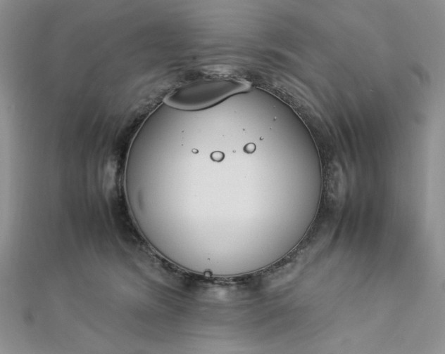 X0000112870420200909041625