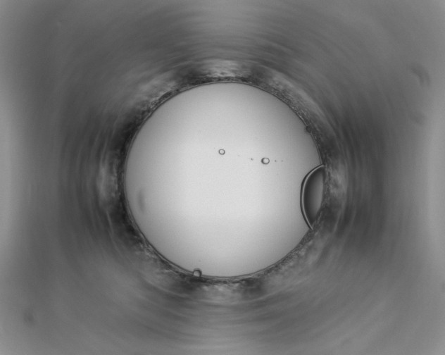 X0000112870422200909041625