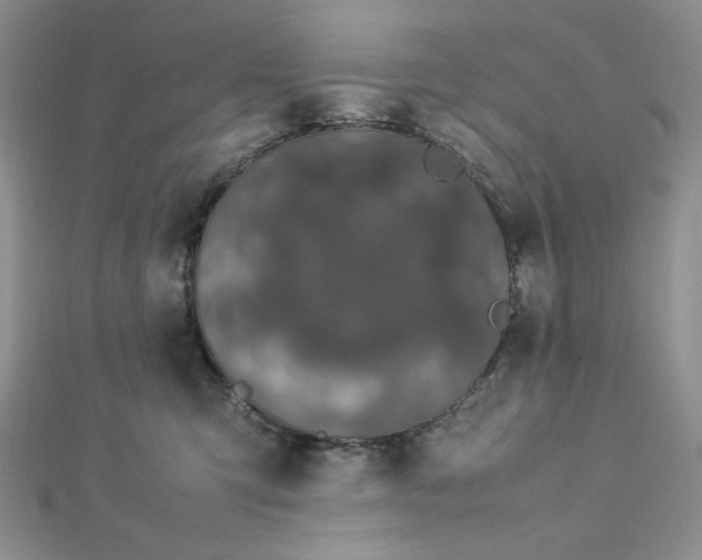 X0000112870423200909041625