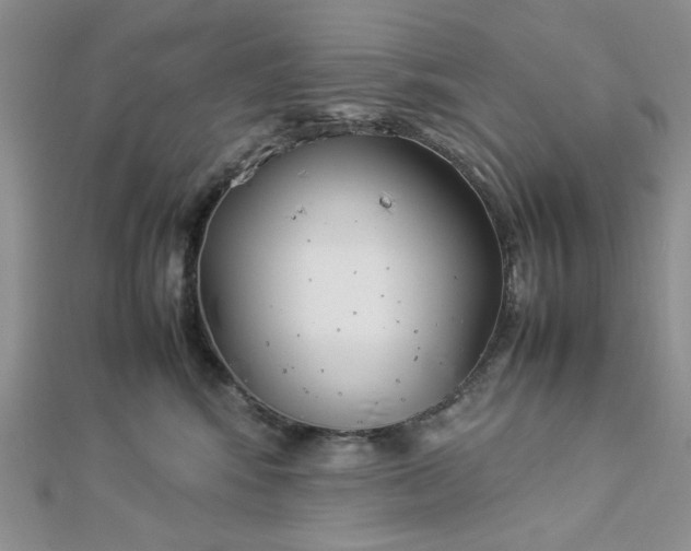 X0000112870424200909041625