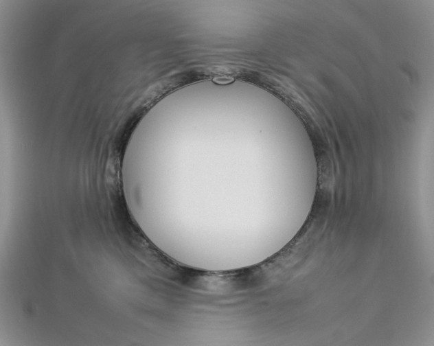 X0000112870425200909041625