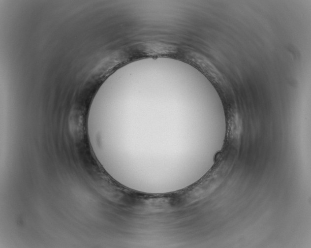 X0000112870426200909041625