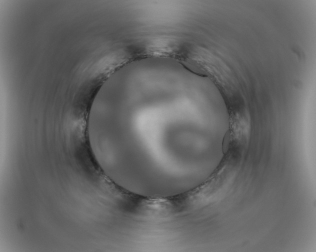 X0000112870427200909041625