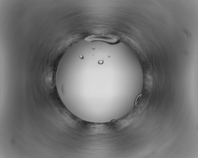 X0000112870428200909041625