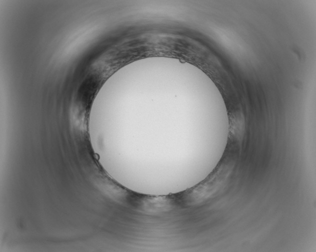 X0000112870431200909041625