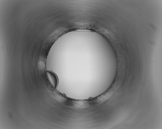 X0000112870432200909041625