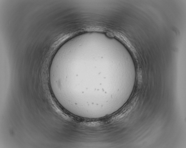 X0000112870433200909041624