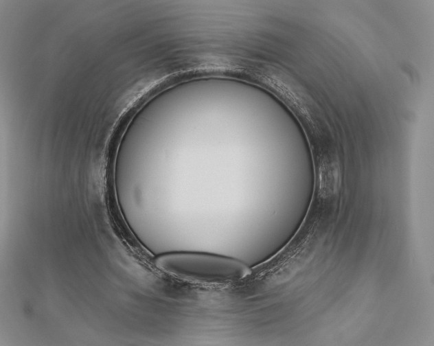 X0000112870436200909041624