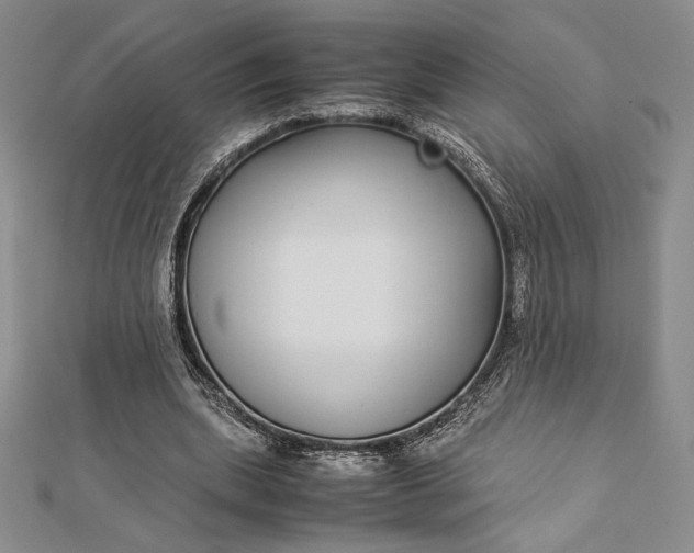 X0000112870439200909041624