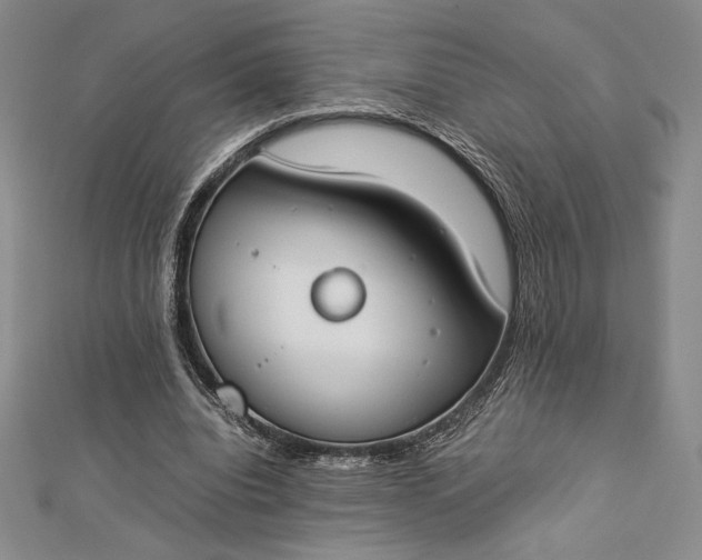 X0000112870440200909041624