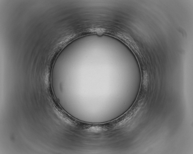 X0000112870441200909041624