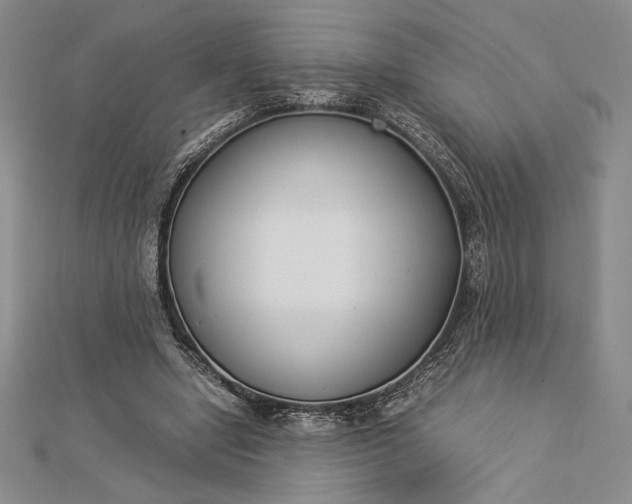 X0000112870442200909041624